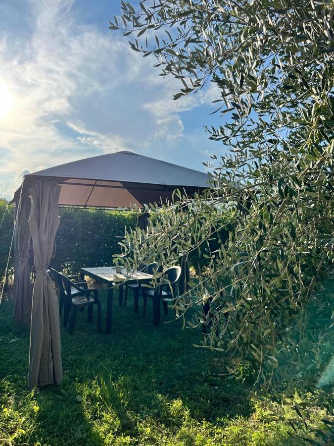 Apartament Lu Prete Campofilone Zewnętrze zdjęcie